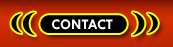 Domination Phone Sex Contact New York