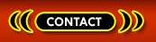 Transsexuals Phone Sex Contact New York